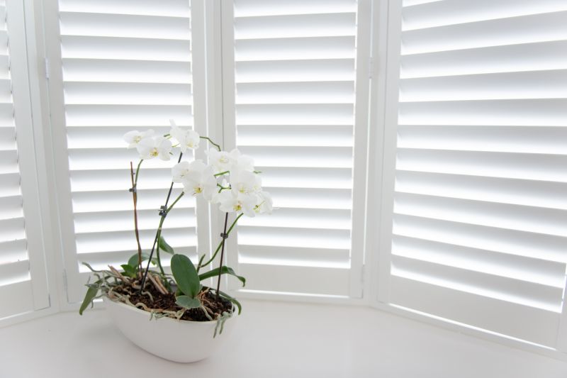 Louvered Shutters Installation in Richmond, VA